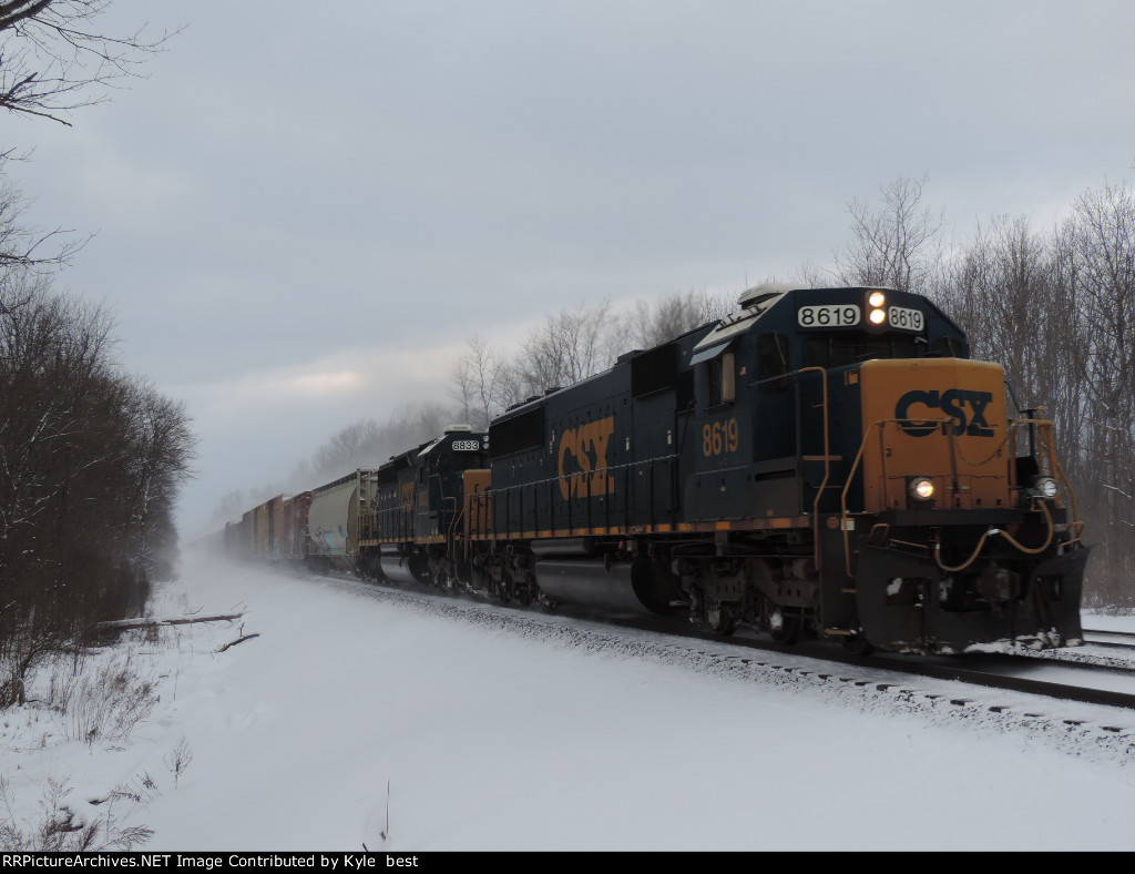 CSX 8619 